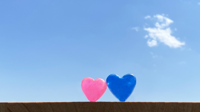 �Ȃ́u�Ȃ��H�v�u�ǂ����āH�v�Ɋ��Y�������邱��